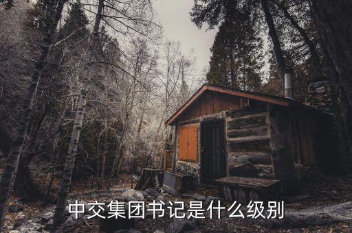 中交集團書記是什么級別