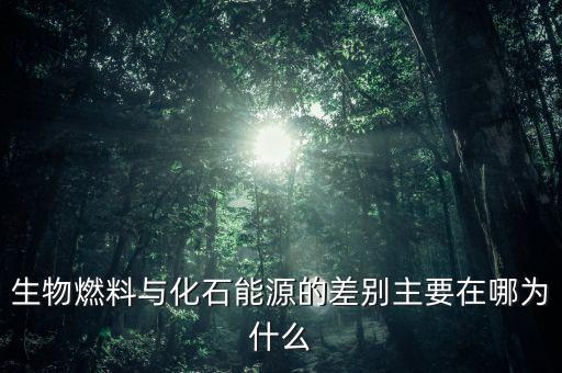 為什么非化石能源，生物燃料與化石能源的差別主要在哪為什么