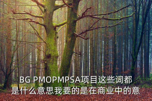 BG PMOPMPSA項目這些詞都是什么意思我要的是在商業(yè)中的意