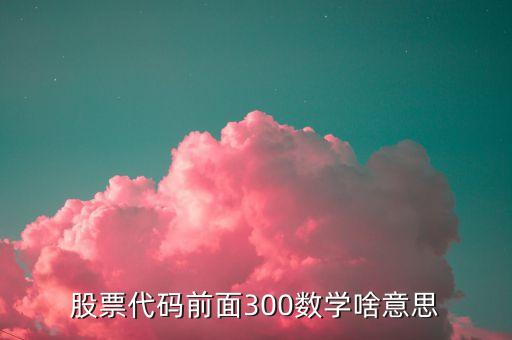 股票代碼前面300數(shù)學啥意思