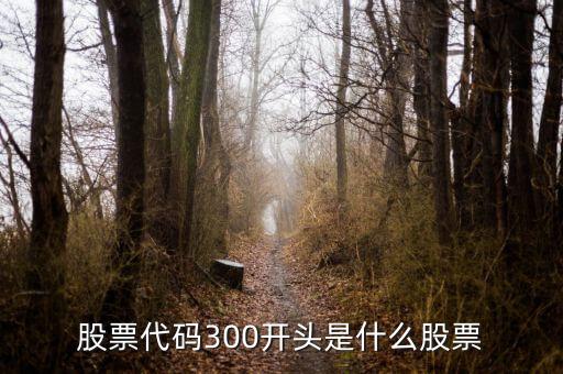 股票300開頭是什么，股票代碼前面300數(shù)學(xué)啥意思