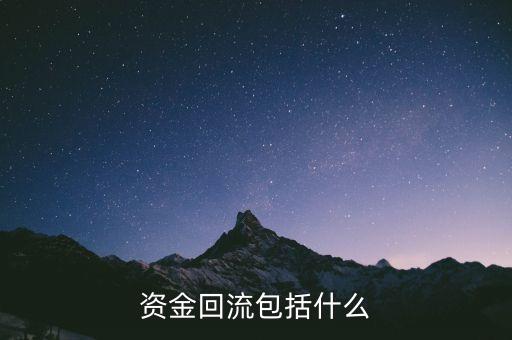 資金回流包括什么