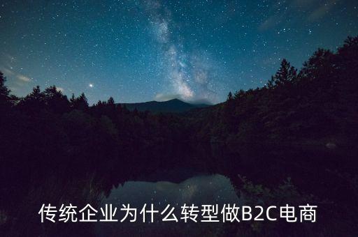 傳統(tǒng)企業(yè)為什么轉(zhuǎn)型做B2C電商