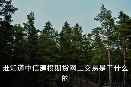 誰知道中信建投期貨網(wǎng)上交易是干什么的