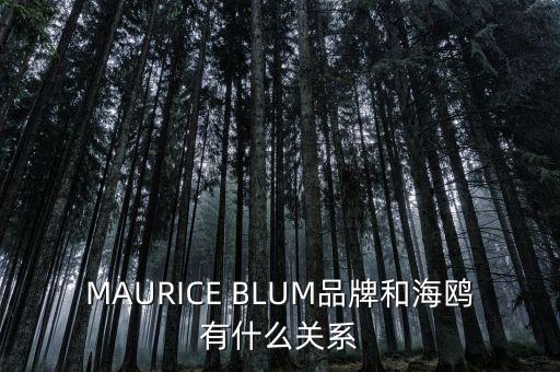 MAURICE BLUM品牌和海鷗有什么關系