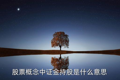 證金持股什么意思，股票概念中證金持股是什么意思