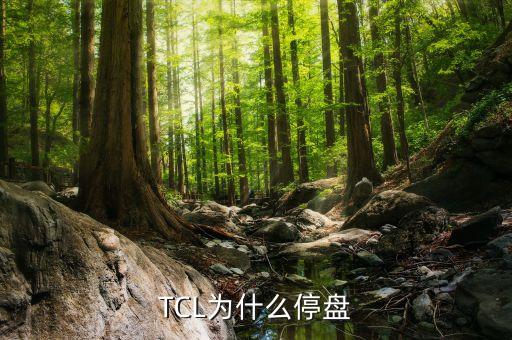 TCL為什么停盤