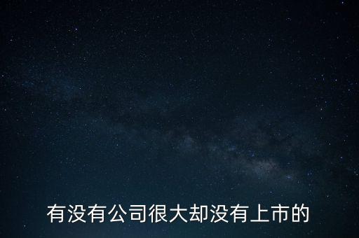 有沒有公司很大卻沒有上市的