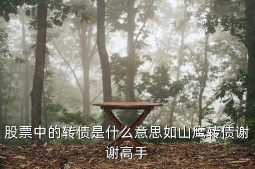 股票中的轉(zhuǎn)債是什么意思如山鷹轉(zhuǎn)債謝謝高手