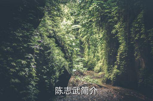 陳志武簡(jiǎn)介