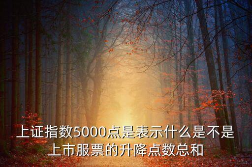 上證指數(shù)5000點(diǎn)是表示什么是不是上市服票的升降點(diǎn)數(shù)總和