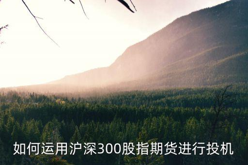 如何運(yùn)用滬深300股指期貨進(jìn)行投機(jī)