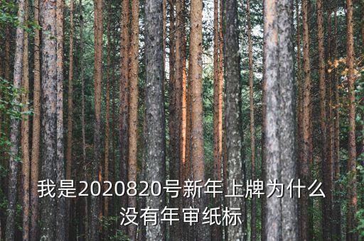 我是2020820號新年上牌為什么沒有年審紙標(biāo)