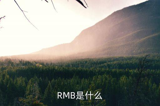 rmb是什么貨幣，RMB是什么