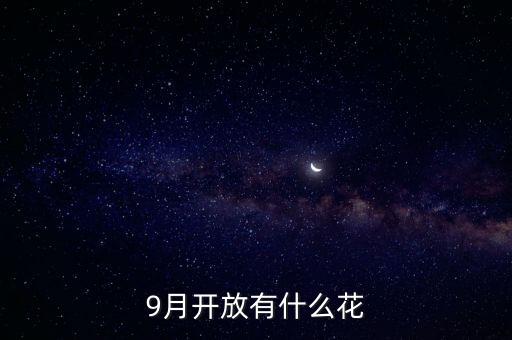 九月什么花經(jīng)路放，9月開放有什么花