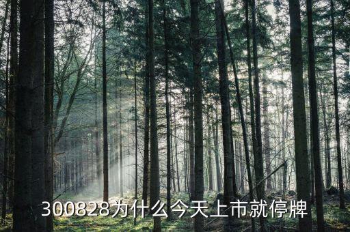 300208為什么停牌，股票300208為什么原因證監(jiān)會(huì)調(diào)查