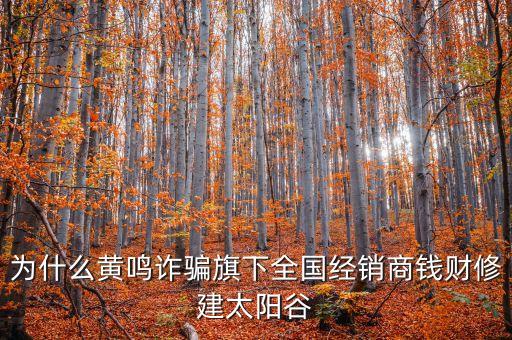 為什么黃鳴詐騙旗下全國經(jīng)銷商錢財修建太陽谷