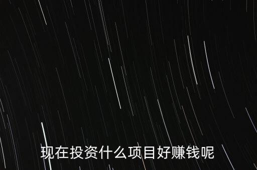 現(xiàn)在投資什么項目好賺錢呢