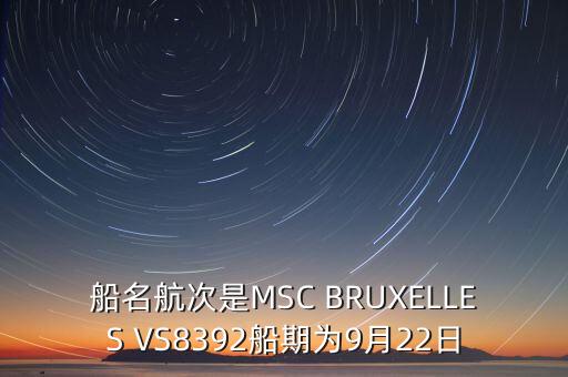 船名航次是MSC BRUXELLES VS8392船期為9月22日