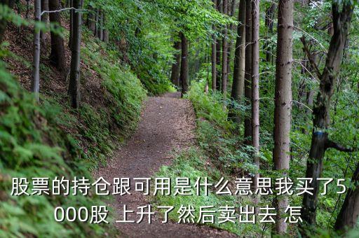 股票的持倉(cāng)跟可用是什么意思我買(mǎi)了5000股 上升了然后賣(mài)出去 怎