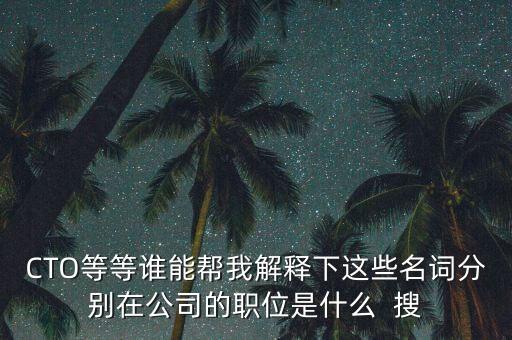 首席投資官是什么職位，CEO的職業(yè)是什么風(fēng)投又是什么有知道的詳細(xì)解釋一下好嗎