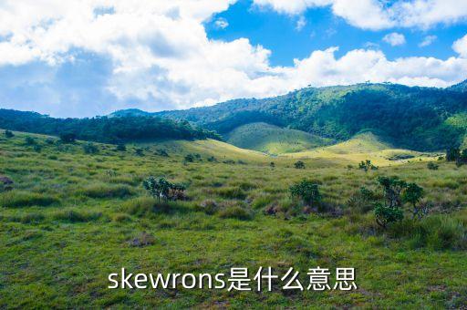 skewrons是什么品牌，伯思凱是什么牌子