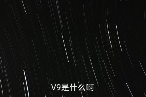 瀘州貢酒v9什么意思，V9是什么啊