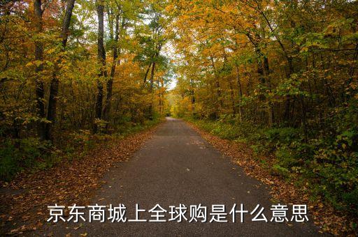 分紅全球購是什么，分紅全球購是哪個公司的