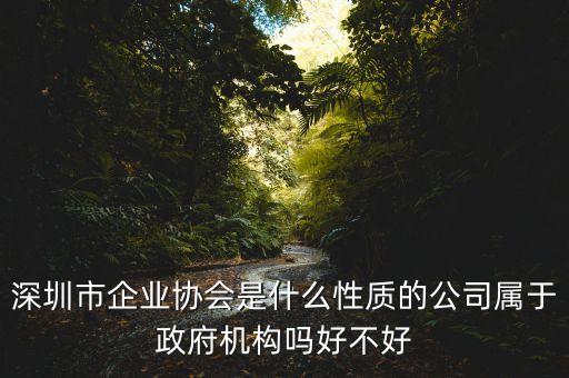 深圳市企業(yè)協(xié)會是什么性質(zhì)的公司屬于政府機構(gòu)嗎好不好