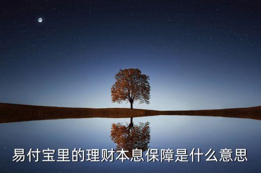 易付寶里的理財本息保障是什么意思