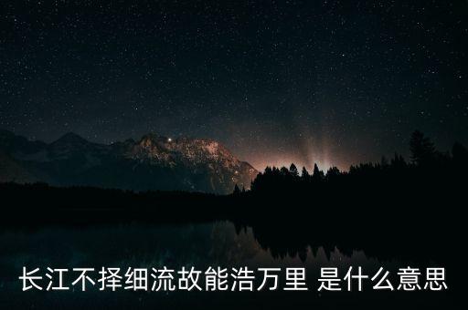 長(zhǎng)江不擇細(xì)流故能浩萬(wàn)里 是什么意思