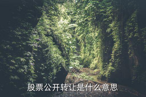 掛牌公開轉(zhuǎn)讓什么意思，一個上市公司股票掛牌轉(zhuǎn)讓代表什么