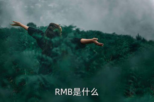 RMB是什么