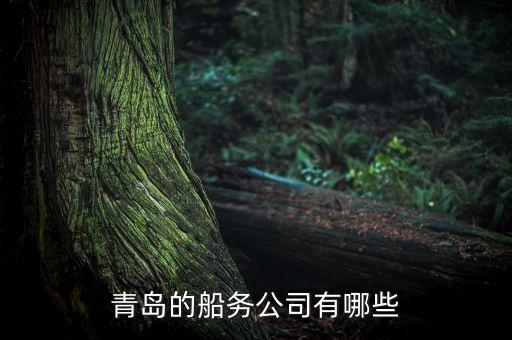 青島有個什么船運走私，青島的船務(wù)公司有哪些