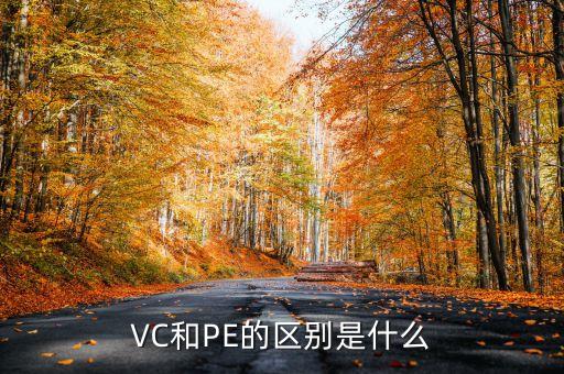 VC和PE的區(qū)別是什么