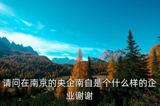 請問在南京的央企南自是個什么樣的企業(yè)謝謝