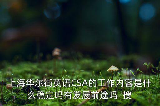 上海華爾街英語CSA的工作內(nèi)容是什么穩(wěn)定嗎有發(fā)展前途嗎  搜