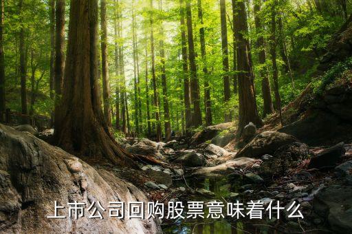 公司回購(gòu)股票意味著什么，上市公司回購(gòu)股票意味著什么