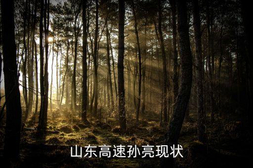 山東高速孫亮什么背景，山東省高速公路董事長(zhǎng)兼總經(jīng)理現(xiàn)認(rèn)是誰