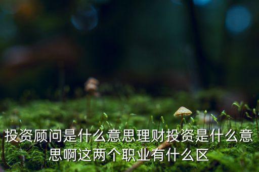 金融投資顧問(wèn)是什么，投資顧問(wèn)具體是什么意思