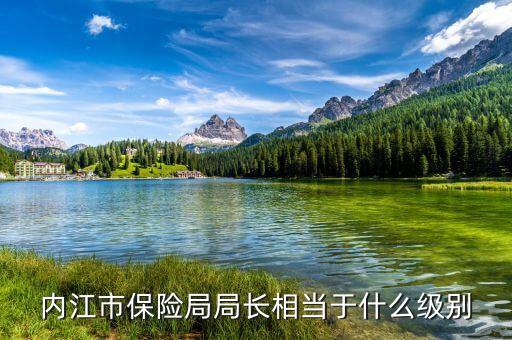 內(nèi)江市保險(xiǎn)局局長(zhǎng)相當(dāng)于什么級(jí)別