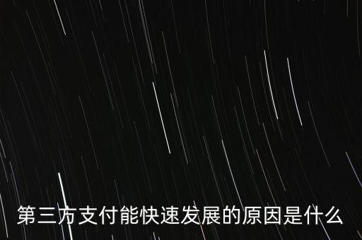 第三方支付能快速發(fā)展的原因是什么