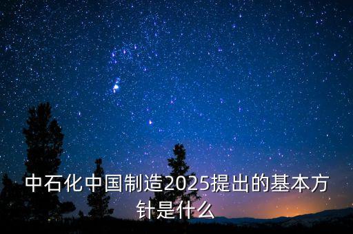 中石化中國(guó)制造2025提出的基本方針是什么