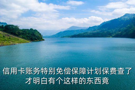 信用卡賬務特別免償保障計劃保費查了才明白有個這樣的東西竟