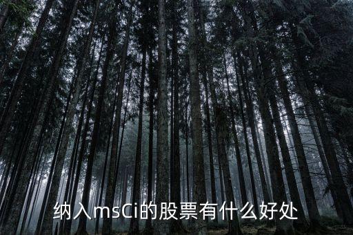 msci什么意思，MSCI 指數(shù)是什么