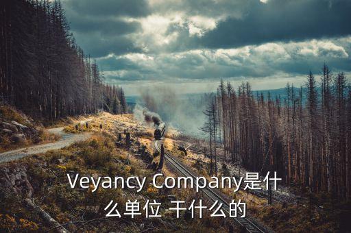 時代沃頓科技有限公司是什么單位，Veyancy Company是什么單位 干什么的