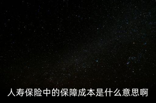 什么是保險(xiǎn)公司的保證成本，保險(xiǎn)中的保障成本是什么意思