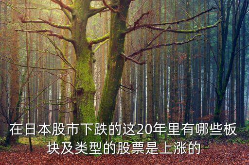 日本股市崩盤能買什么，在日本股市下跌的這20年里有哪些板塊及類型的股票是上漲的