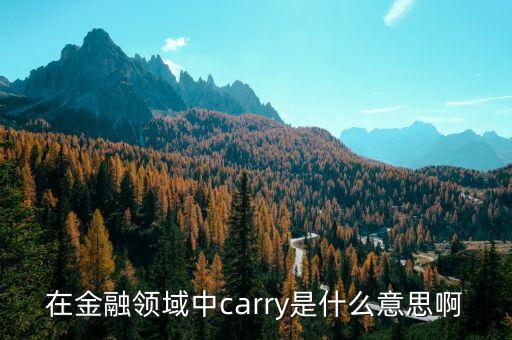 在金融領域中carry是什么意思啊