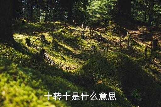 十轉(zhuǎn)十是什么意思